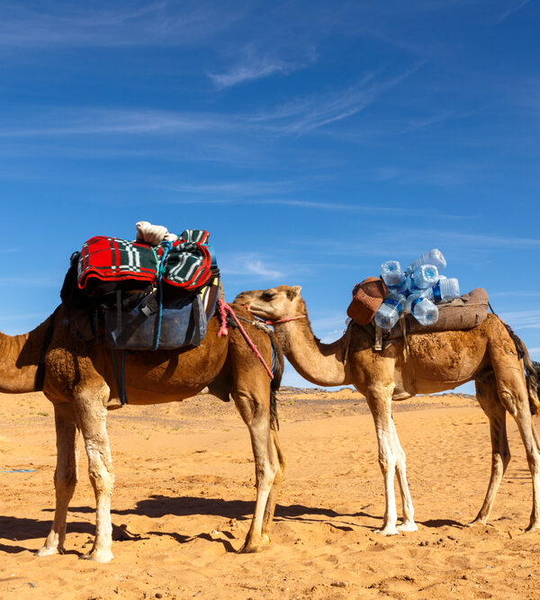 Αυτοκρατορικό Μαρόκο το Σταυροδρόμι των Πολιτισμών